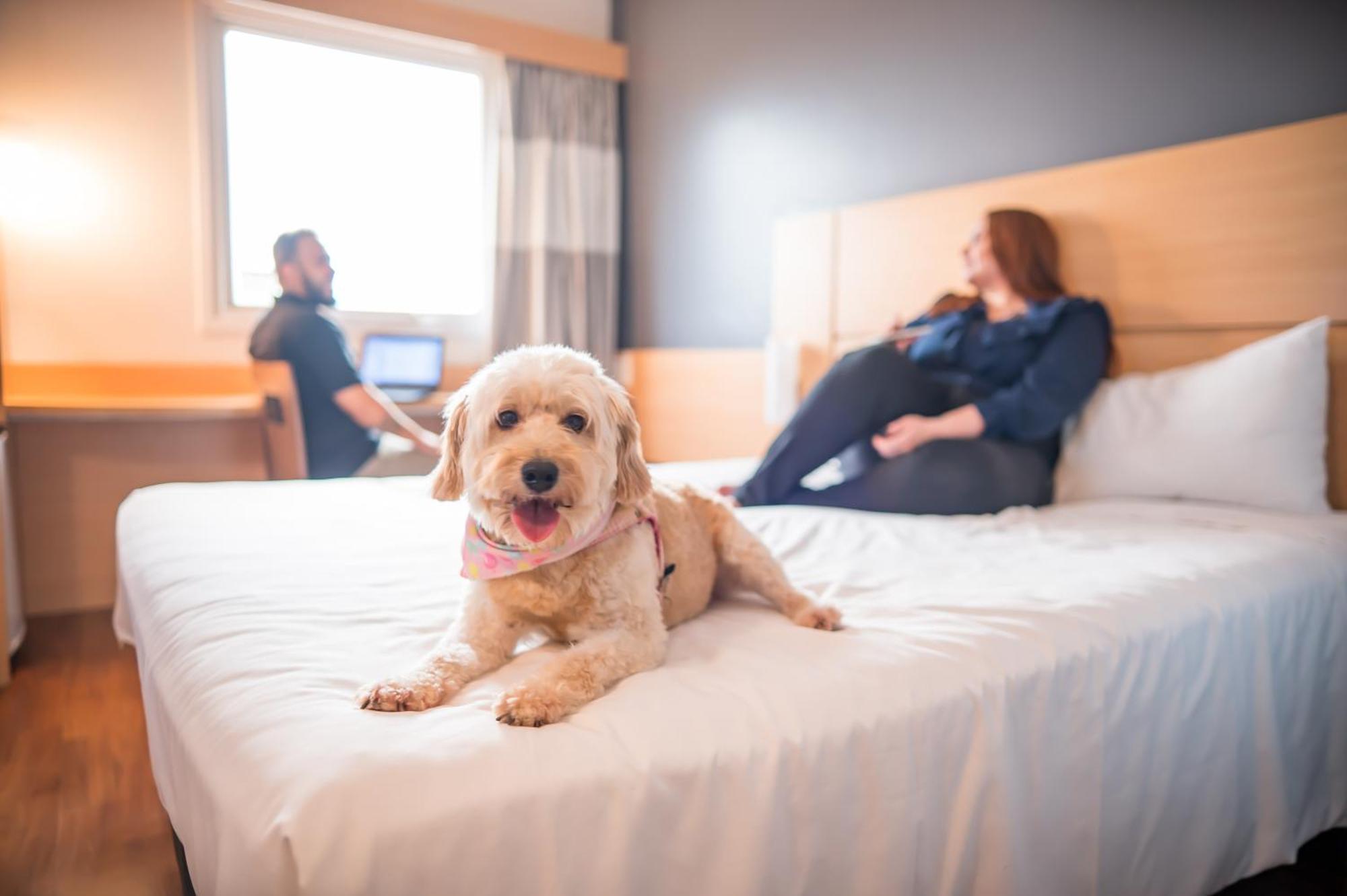 Ibis Itu Plaza Shopping Otel Dış mekan fotoğraf